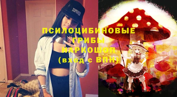 сатива Бронницы