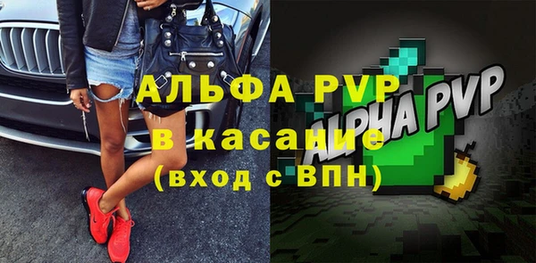 сатива Волосово