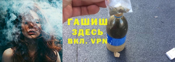 сатива Бронницы