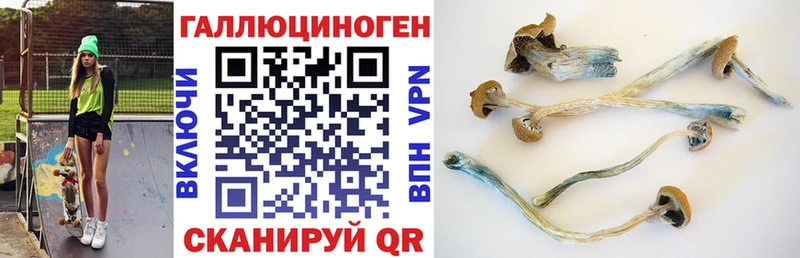 Галлюциногенные грибы Cubensis  МЕГА онион  Сретенск 